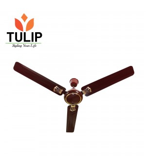 Tulip 48" Ceiling Fan Zigma